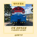 진해 경화역공원_20개월 아이와 함께한 가을 나들이