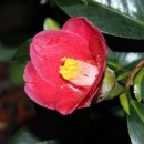 마굿들식당 이미지