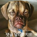 복 - 서구 대영로 37 | 복