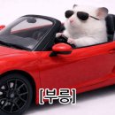 카페시엘로