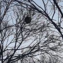 봉술농장 이미지