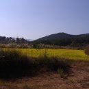 인비농장 이미지