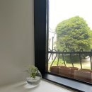 고매 3통 이미지