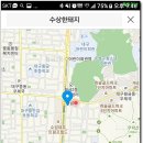 수상한돼지 티스토리
