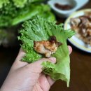 청량그린축산 | 샐러드야채 유러피안 쌈채소 친환경 채소가득 모둠쌈