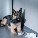 (주)미스터케어 이미지