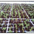 세윤농장 이미지