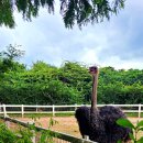 태신목장 이미지