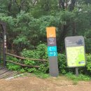 미미행정사 이미지