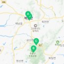 라온플라워앤카페