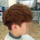 스파커치
