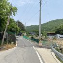 지곡리 등산로 이미지