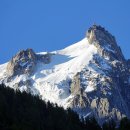 향기로 여는 마음의 문 이미지