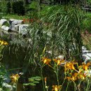 대연수목전시원 이미지