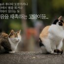 오마어린이공원 이미지