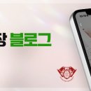 호랑한의원 이미지