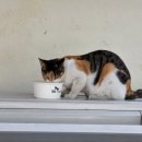 북성슈퍼 이미지