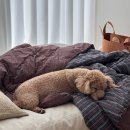 나인페츠 이미지