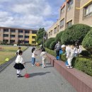 양구초등학교 이미지