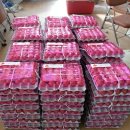 금산농장 이미지