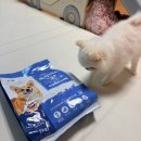 어덜트헬스케어