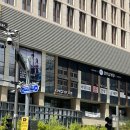 데스티니 퍼피 | 조이의 카페 어피스오브조이 &lt;A PIECE OF JOY&gt; 내돈내산 추천후기 근데 이제 댕댕이 사진이 더 많은,,,