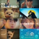 더 사랑스럽개 이미지