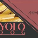 욜로독 이미지