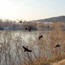 서호공원 이미지