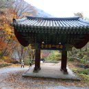 재산면사무소 | 봉화 여행 청량산 청량사 등산코스 , 경북 백두대간 가을 단풍 명소 구경가볼만한곳