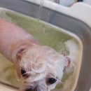 상일축산 이미지