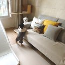 (주)고려화학 | 아기놀이방매트 고려화학매트 사용후기