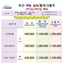 갑천하 | 「부산출발해외여행♥계림」 산수 갑천하! 🏞️ 부산-계림 에어부산 직항 전세기! 기암괴석과 이강이 그려...