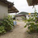 세지5일시장 이미지