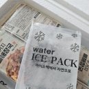 대한민국감자탕 | 대한민국농수산 우거지 뼈해장국 감자탕 내돈내산 후기