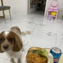 맘스터치인천원당점 네이버블로그