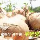 초록마을목포