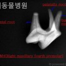 나래동물병원 이미지