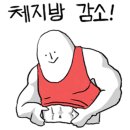 킹&퀸점핑하이