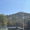 파평면사무소 앞 | [파주] 너무 예뻤던 서울근교 대형카페 마롱리면사무소카페(주차,웨이팅,빵종류,메뉴,키즈존)