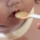 창신스텐금속 | [이유식] 이유식 용품 내돈내산 하울, 한달 사용 후기, 초기이유식, 큐브이유식, 죽이유식, 뿐이토핑이유식