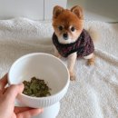 한미사료 이미지