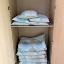 청주 옥화자연휴양림 휴양관 패랭이 5호 숙박 후기