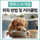 09-2  반려동물 수제간식 취.창업과정 | 펫푸드자격증 취득 방법 및 커리큘럼