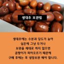 생대추 보관법 맛있게 먹는 법 이미지