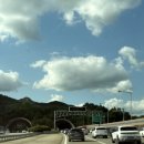 (주)에피도코리아 | 🖤 나는. 사랑해. 타일러를. 드디어 타일러 내한 콘서트. Tyler The Creator. 🫧🌻