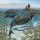 가라월라 이미지