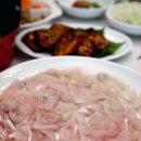 강동참가자미 이미지