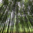 김수곤농장 이미지