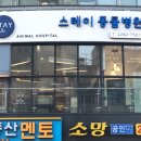 스테이 동물병원 이미지